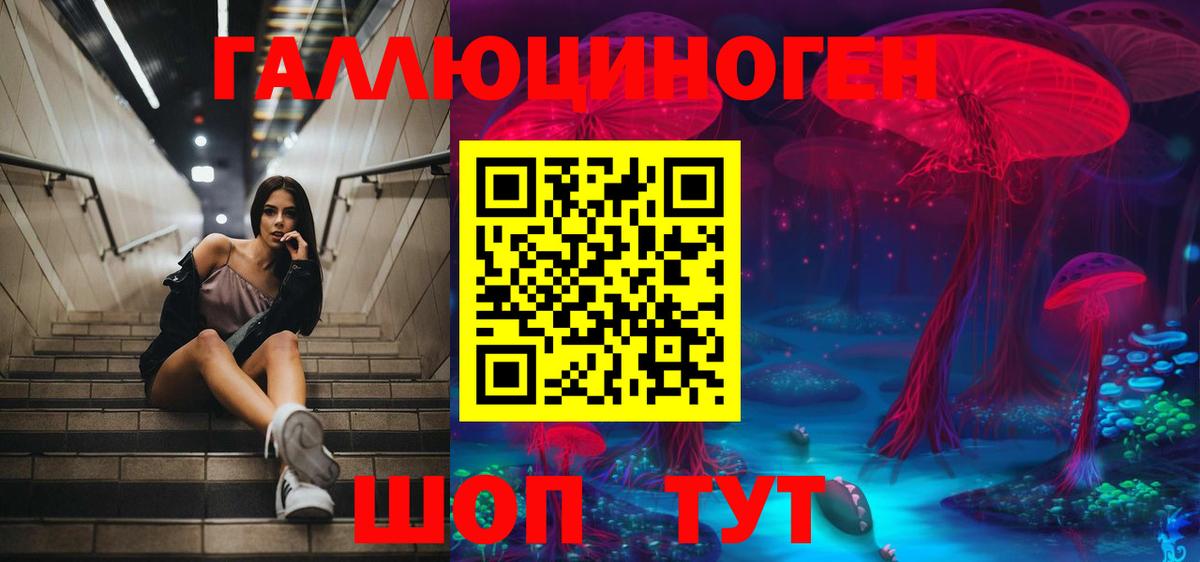 продажа наркотиков  Псилоцибиновые грибы GOLDEN TEACHER  Вход с VPN  Липецк 
